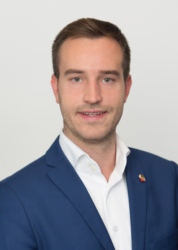 Image of politician Schnöll Stefan, Mag.